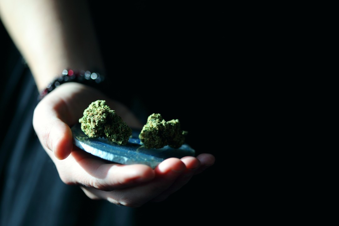 Ein langer Weg, der sich lohnt: Legales Cannabis aus der Apotheke