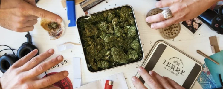 Cannabisblüten in einer Dose. Definitiv kein geeignetes Gefäß für die Lagerung vom Cannabis.