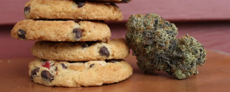 kekse-avb-cannabis-blog-greensby