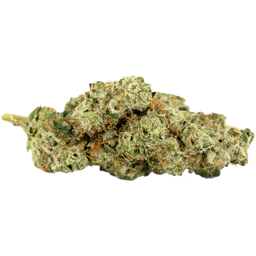 420 Evolution 27/1 CA ICC