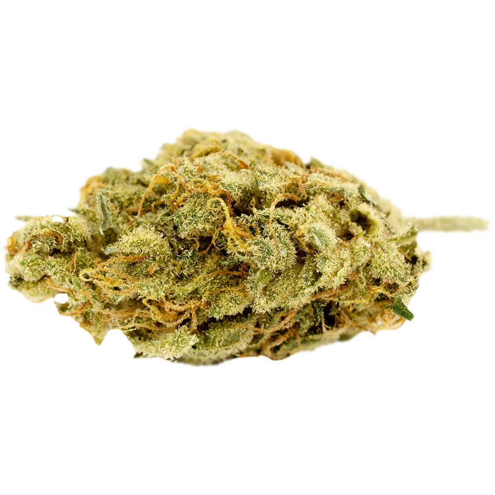 420 Evolution 27/1 CA STR