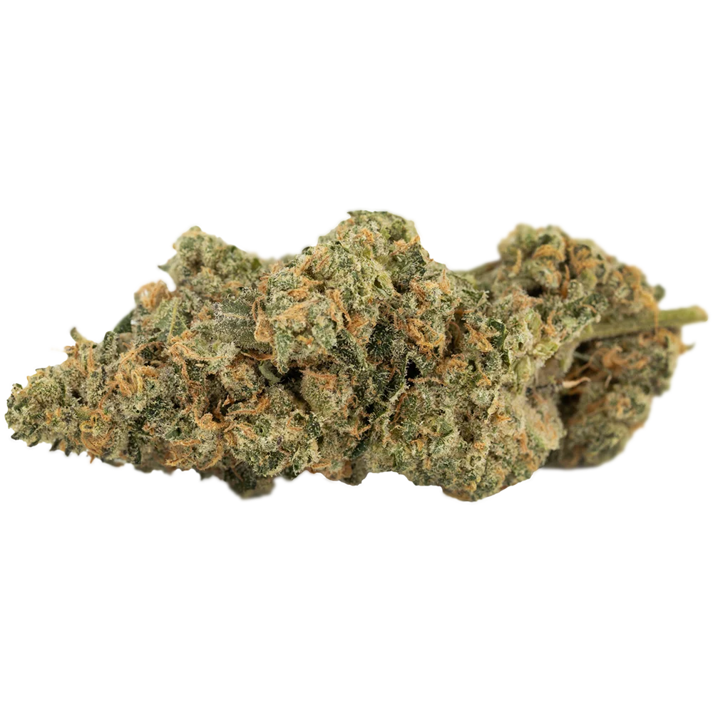 420 Evolution 27/1 CA FLM 
