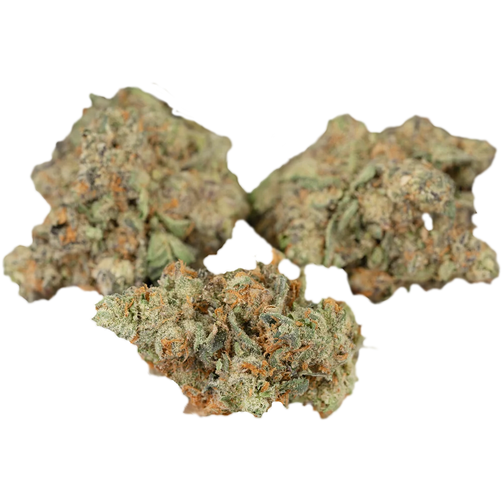 420 Evolution 30/1 CA PCH