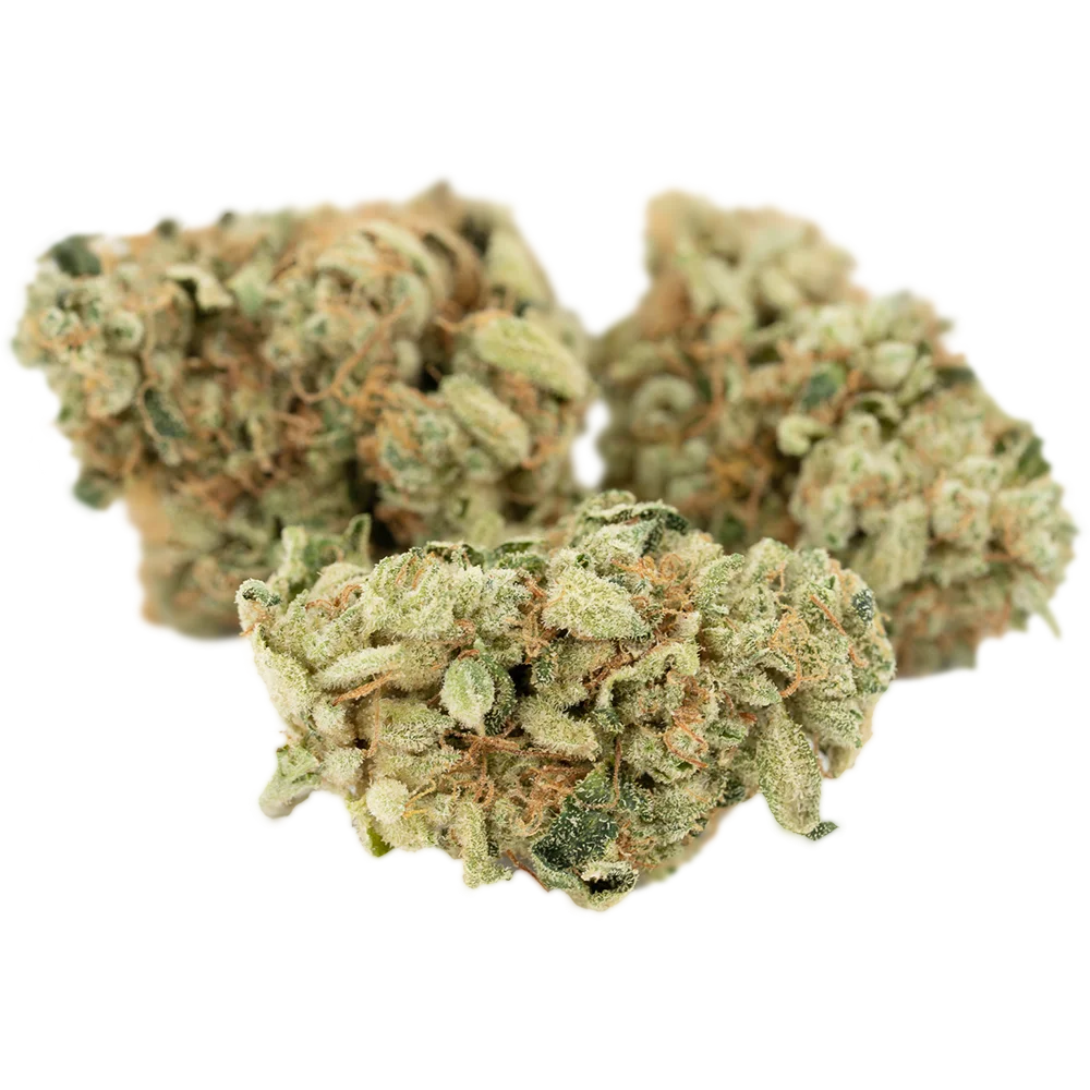 420 Evolution 30/1 CA BUL