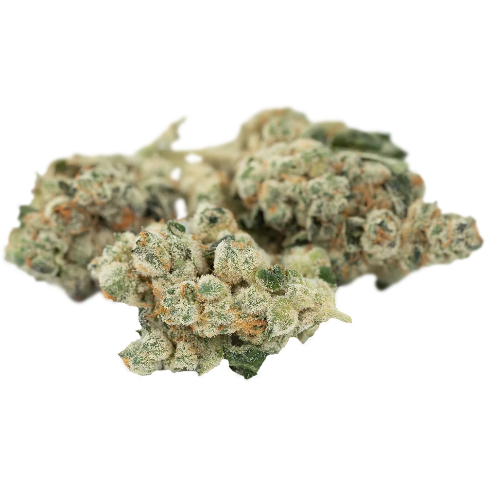 420 Evolution 30/1 CA TGP