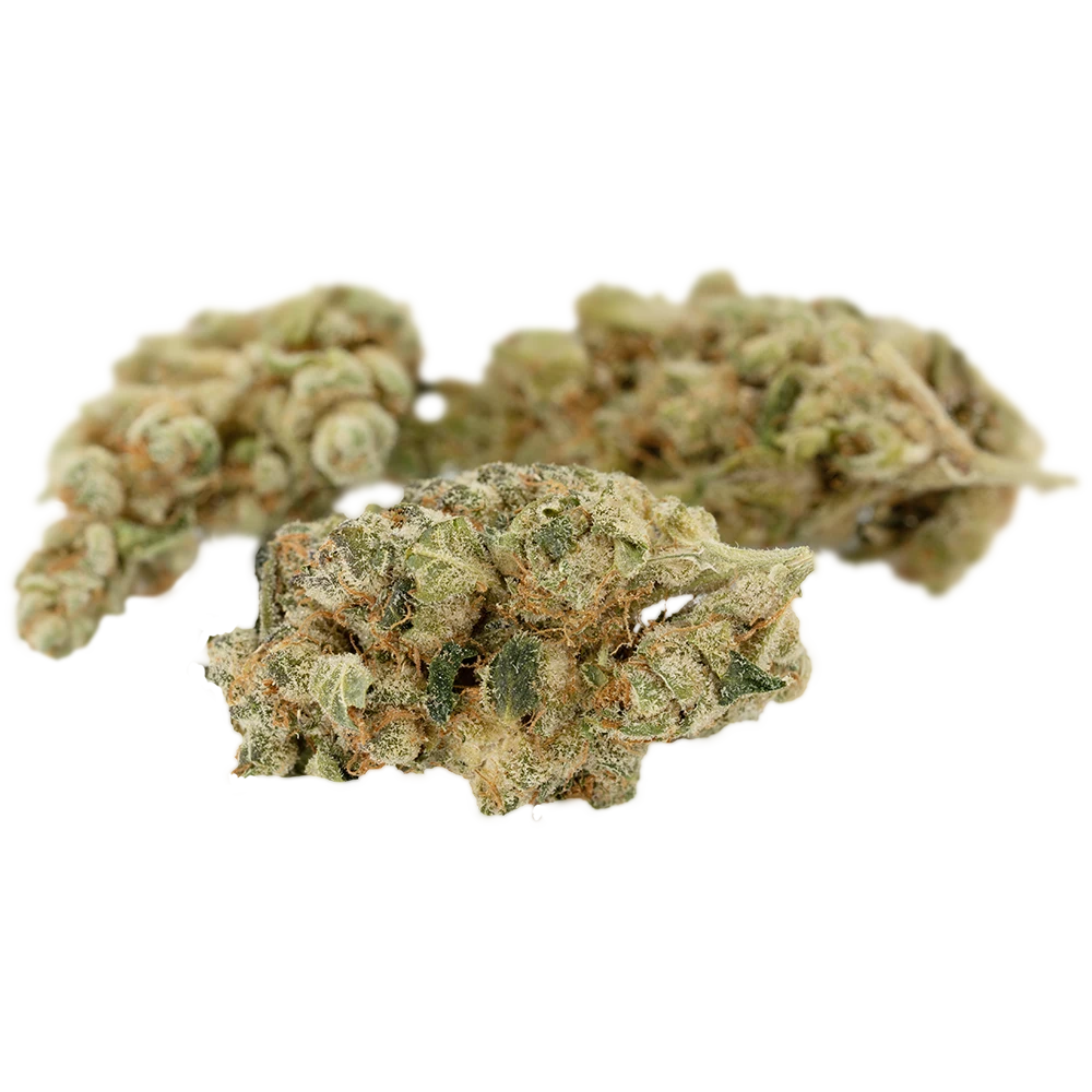 420 Evolution 25/1 CA TGP