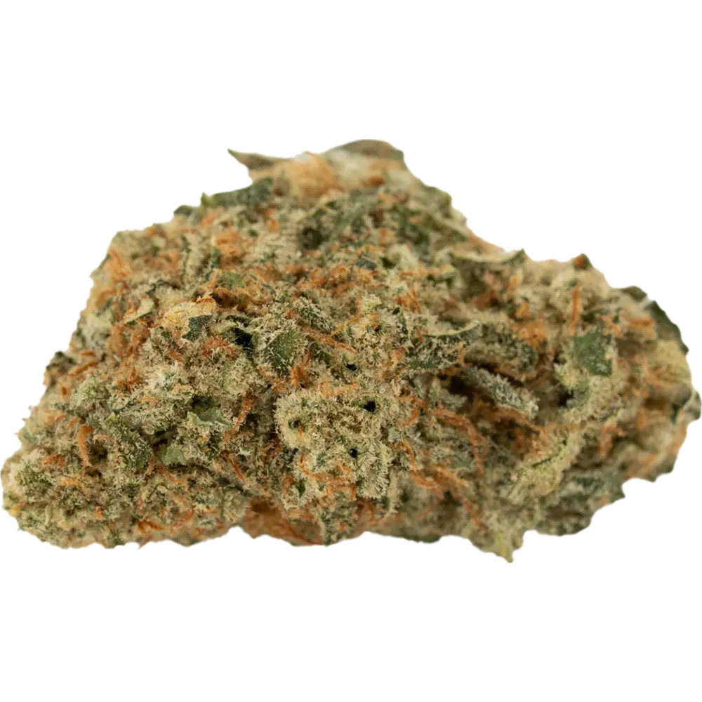 Cannamedical Hybrid classic URY 