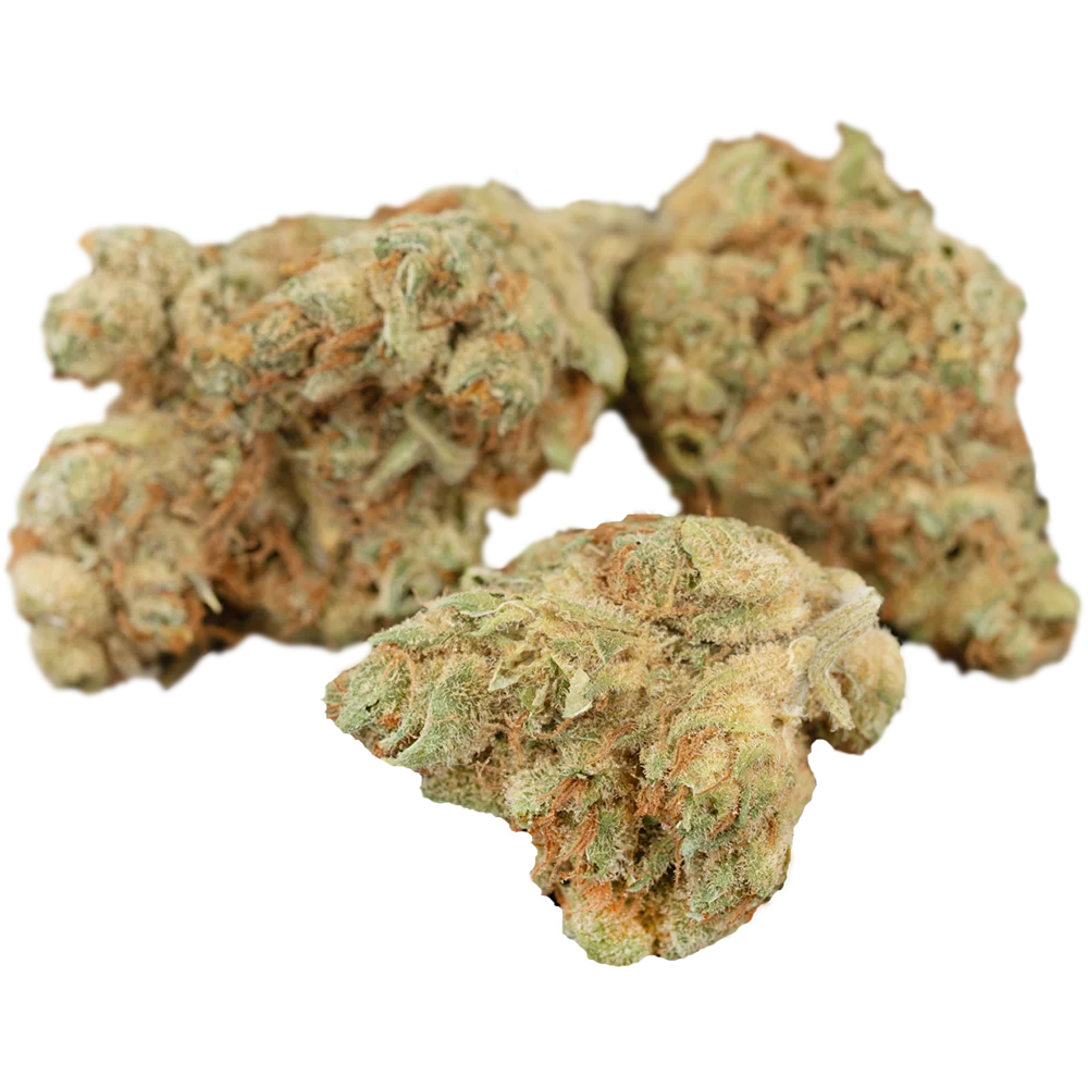 Althea THC 24