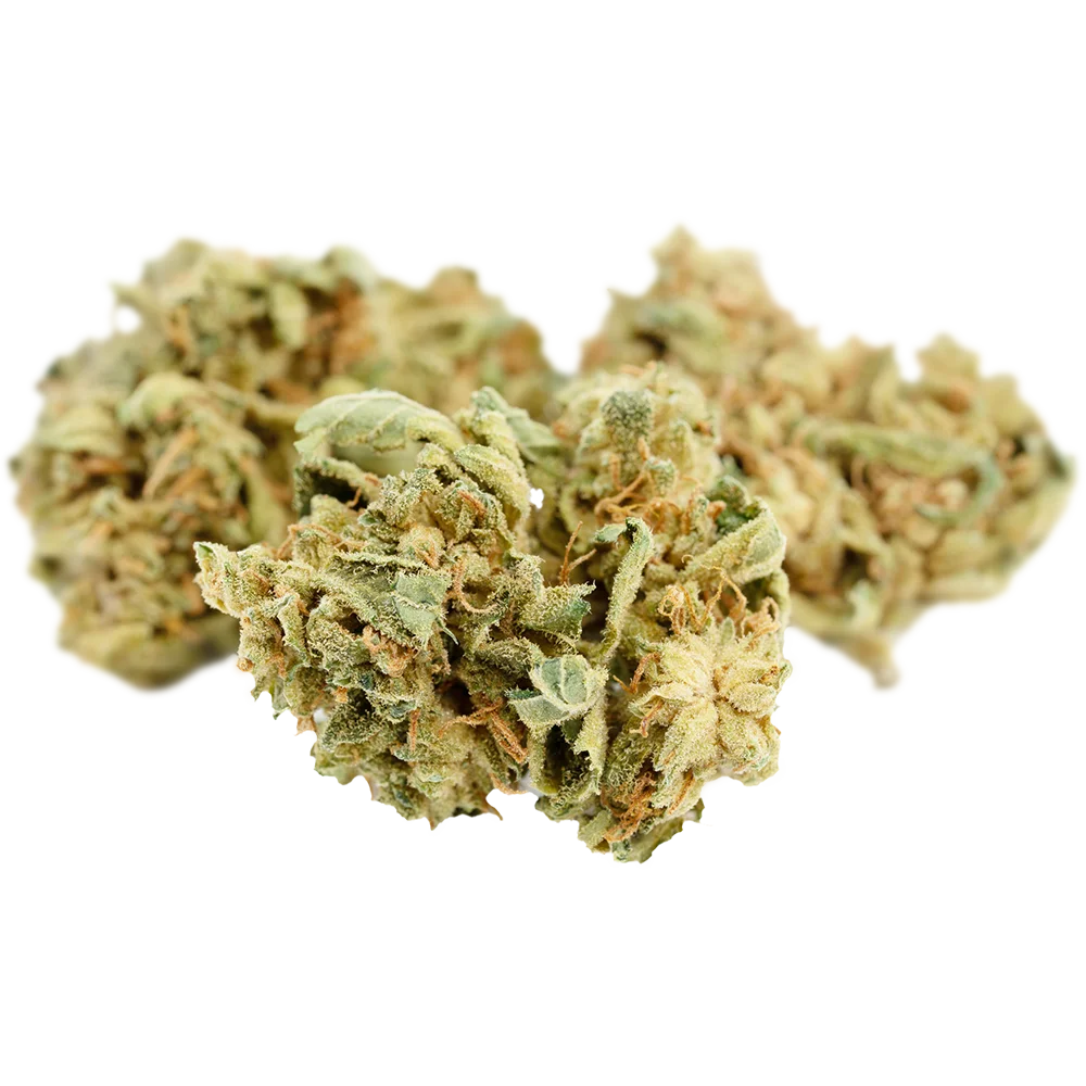 Bud Image