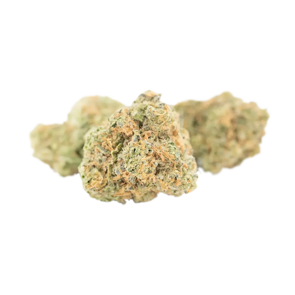 AVAAY 24/1 DID