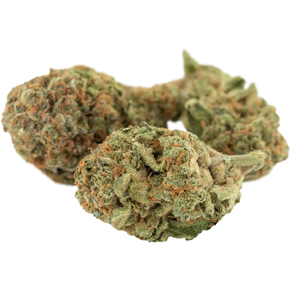 Beacon I-Hybrid THC 22