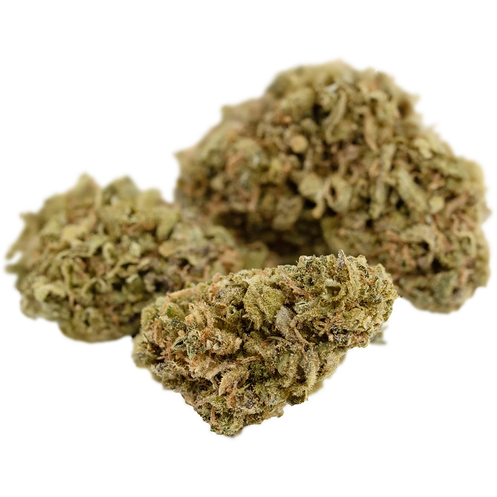 Blackbird Strong Sativa