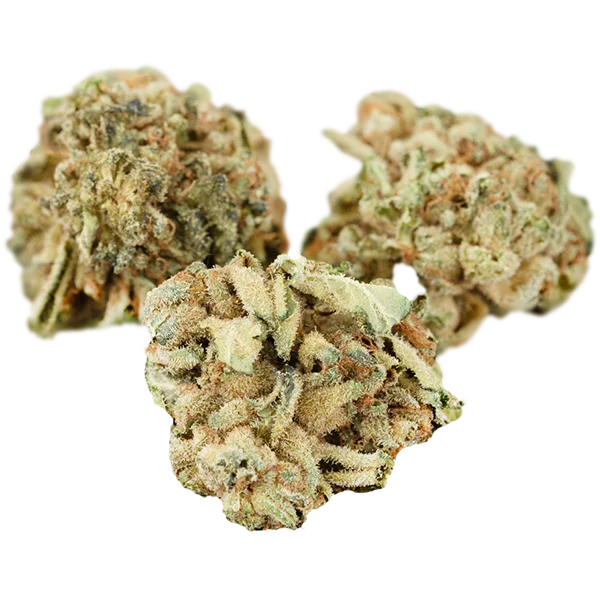 Cannabis Flos 22/1 PT Ku.Master Kush DAB Canify 