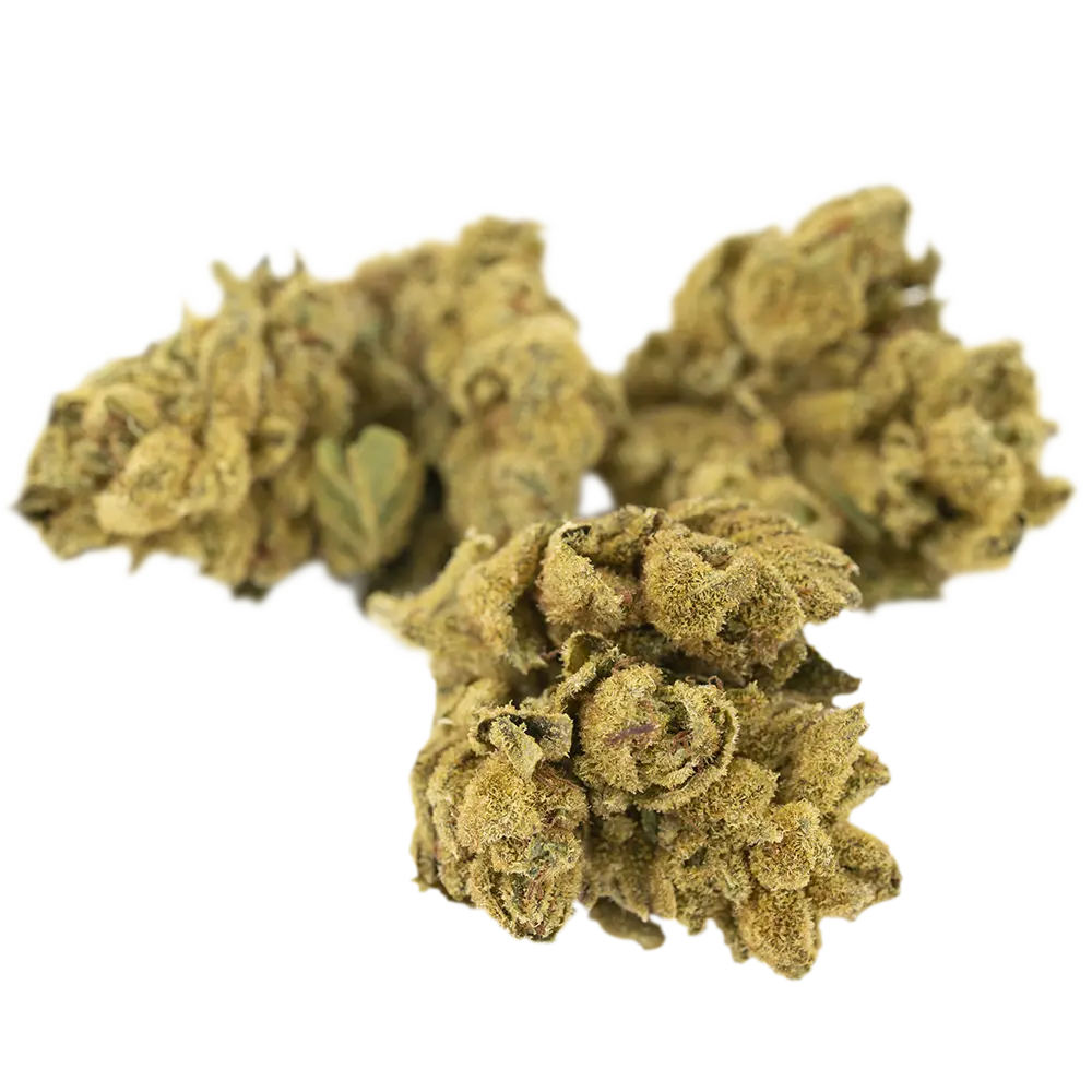 Bud Image