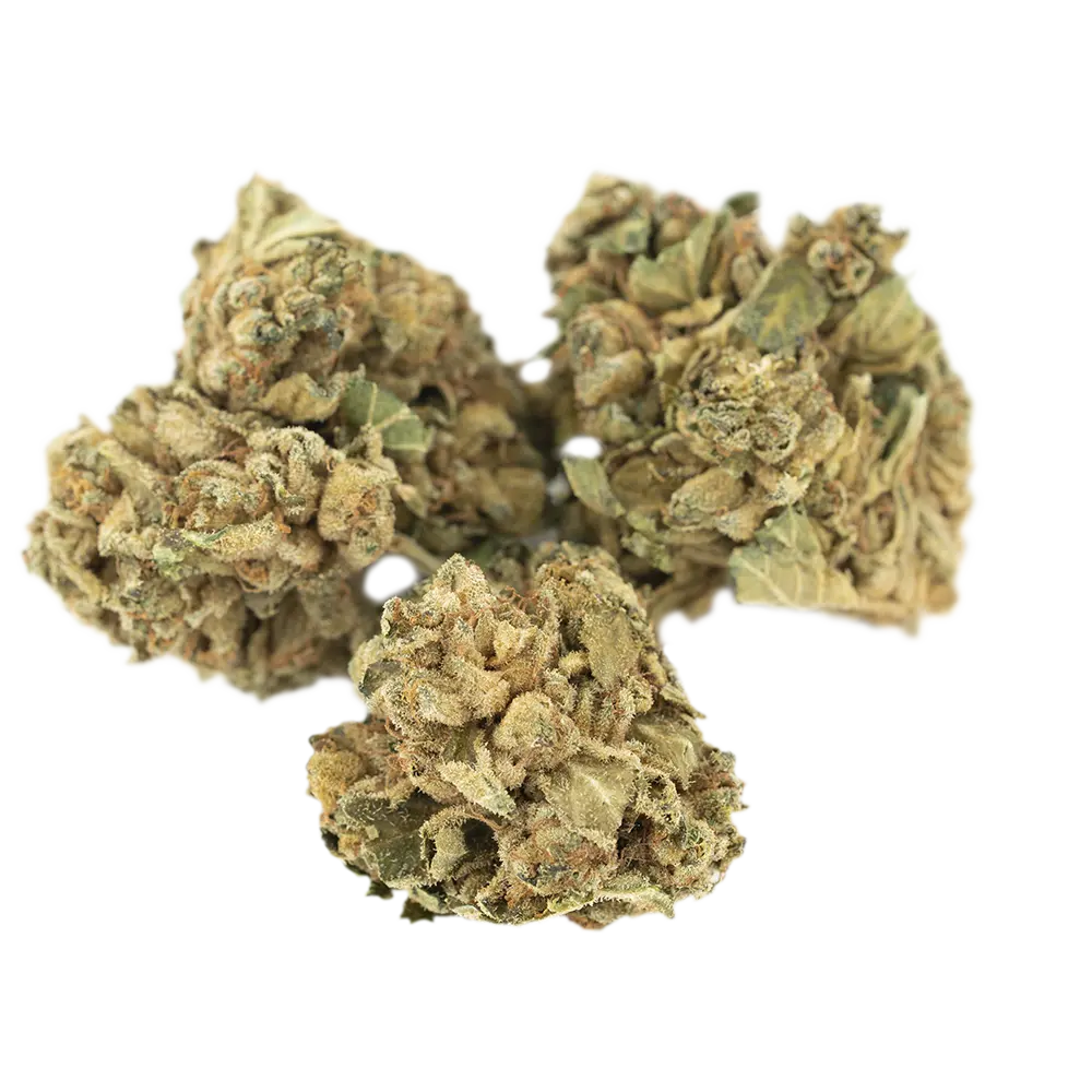 Cannabis Flos 22/1 PT Ku. Headband