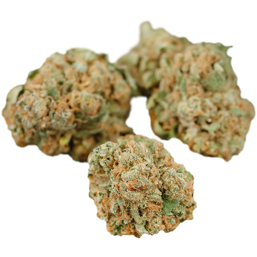 Cannabis 1A 16/1