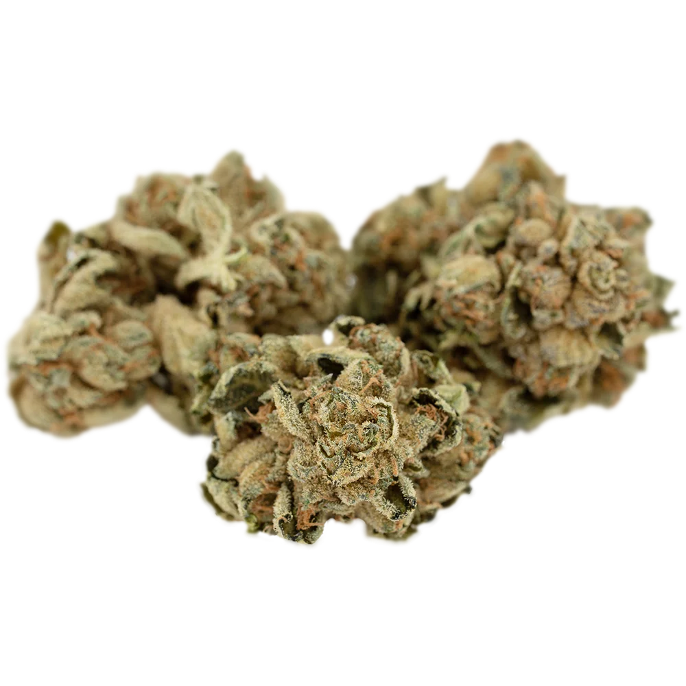 Cannabis 1A 18/1