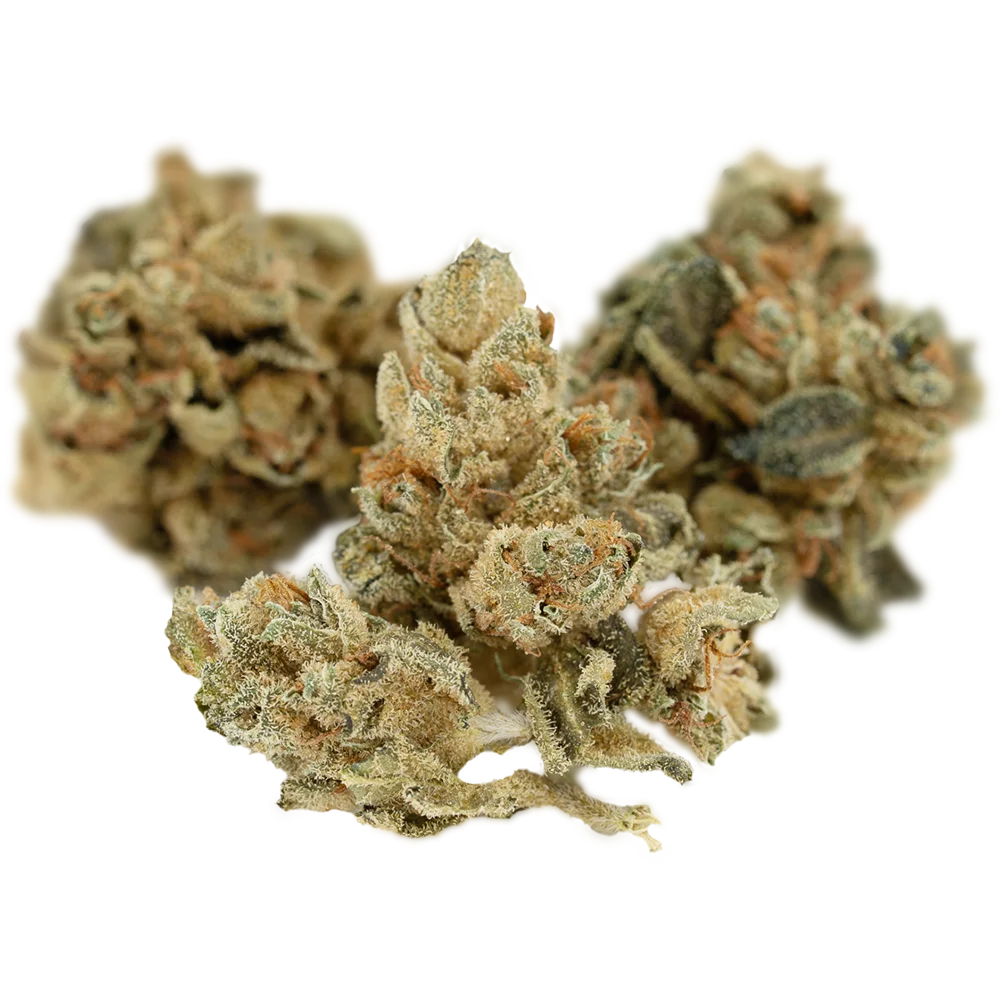 Cannabis Flos 18/1 PT Ku. Mango