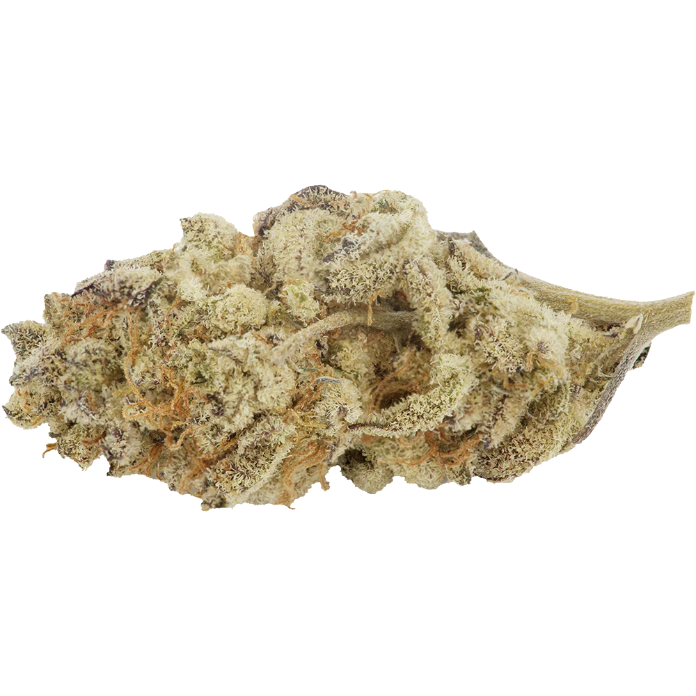 CannabiStada WEM 25