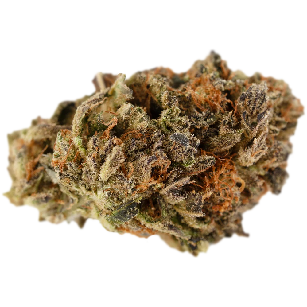 Cannamedical Hybrid classic NG 
