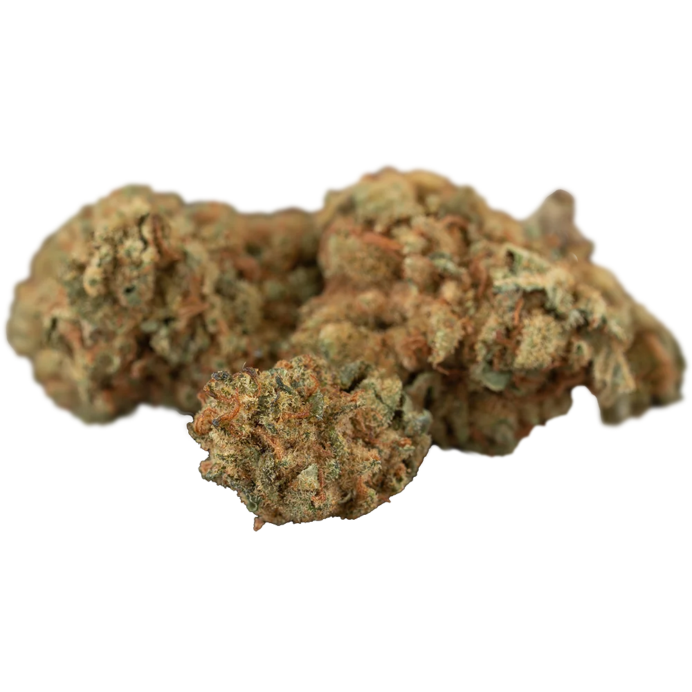Cannamedical Hybrid forte