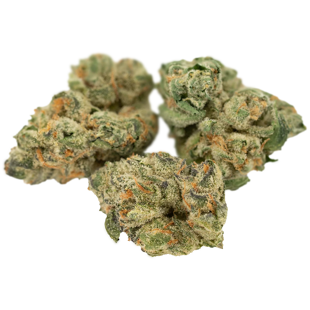 Cannamedical Hybrid forte NG