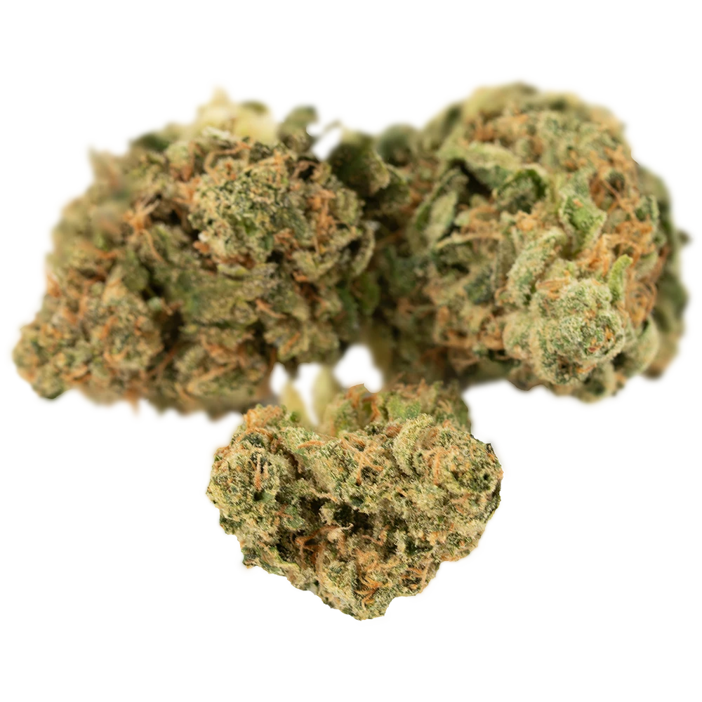 Cannamedical Indica forte NM