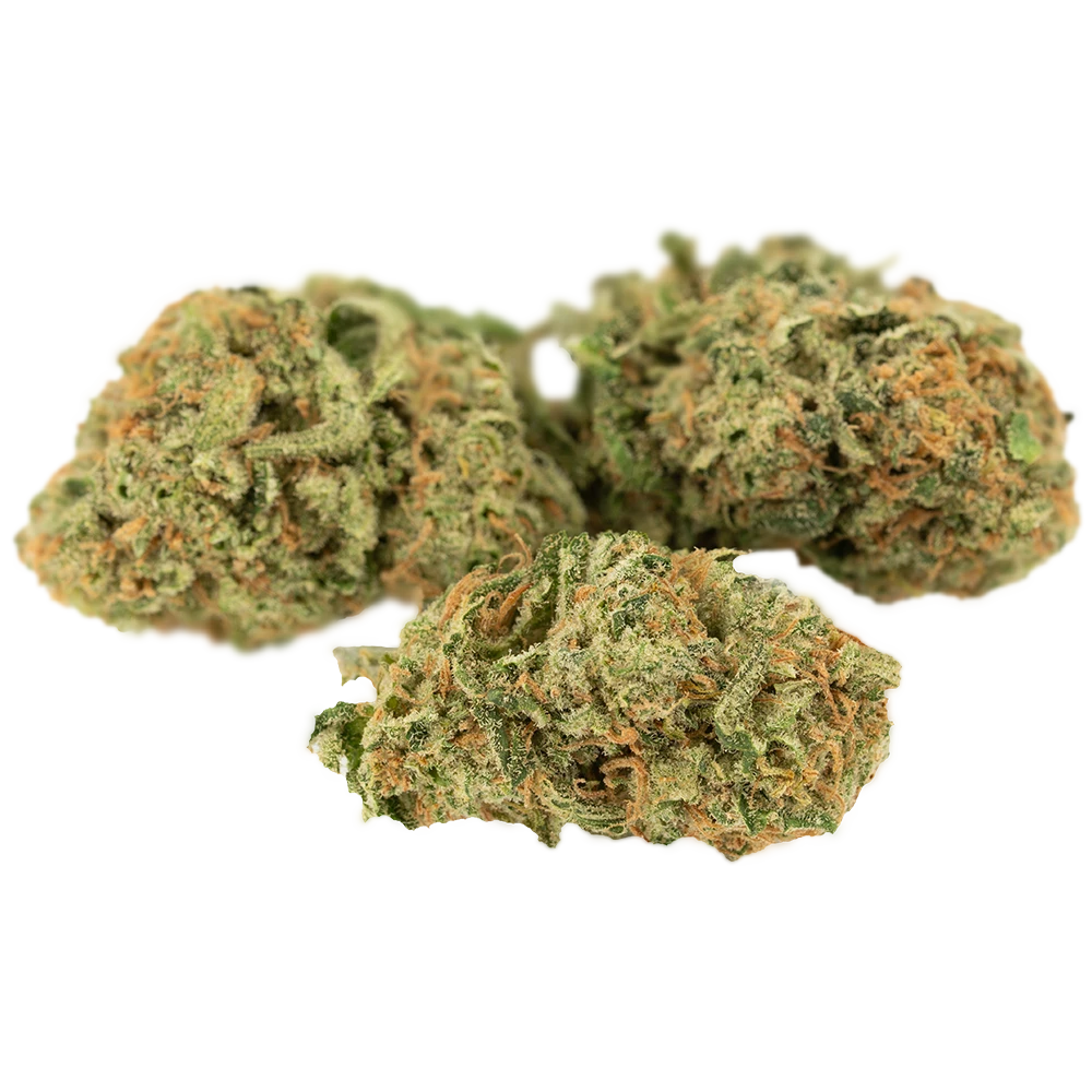 Cannamedical Sativa classic NM