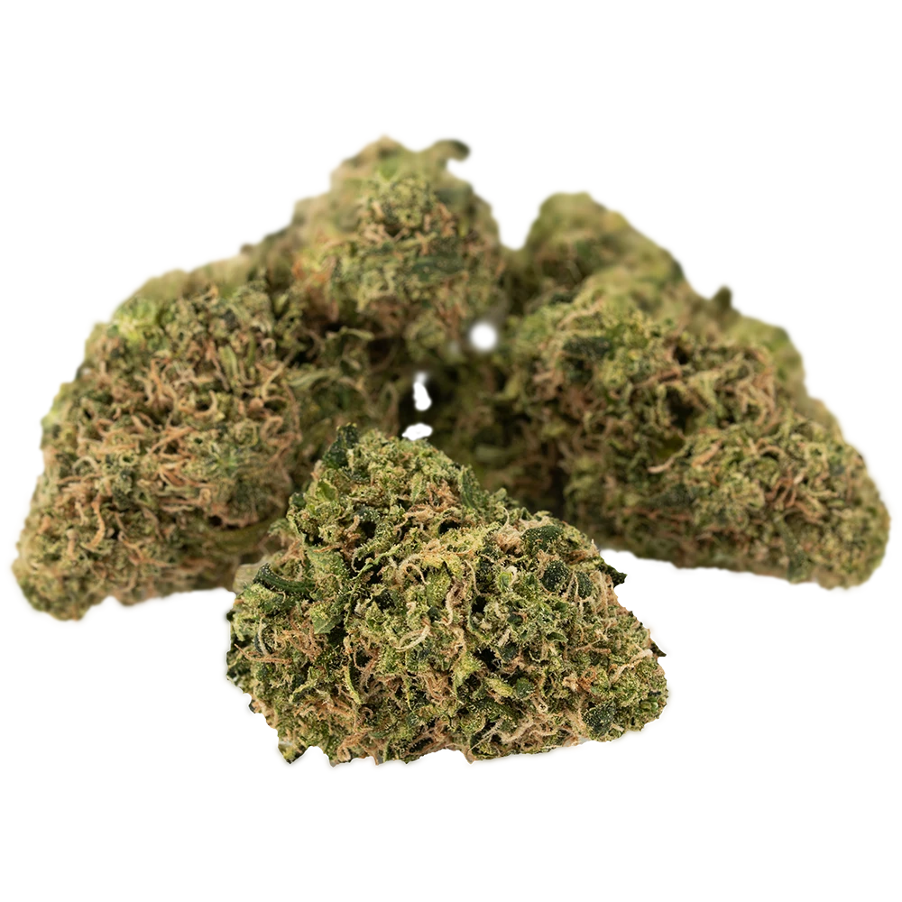 Cannamedical Sativa classic NM
