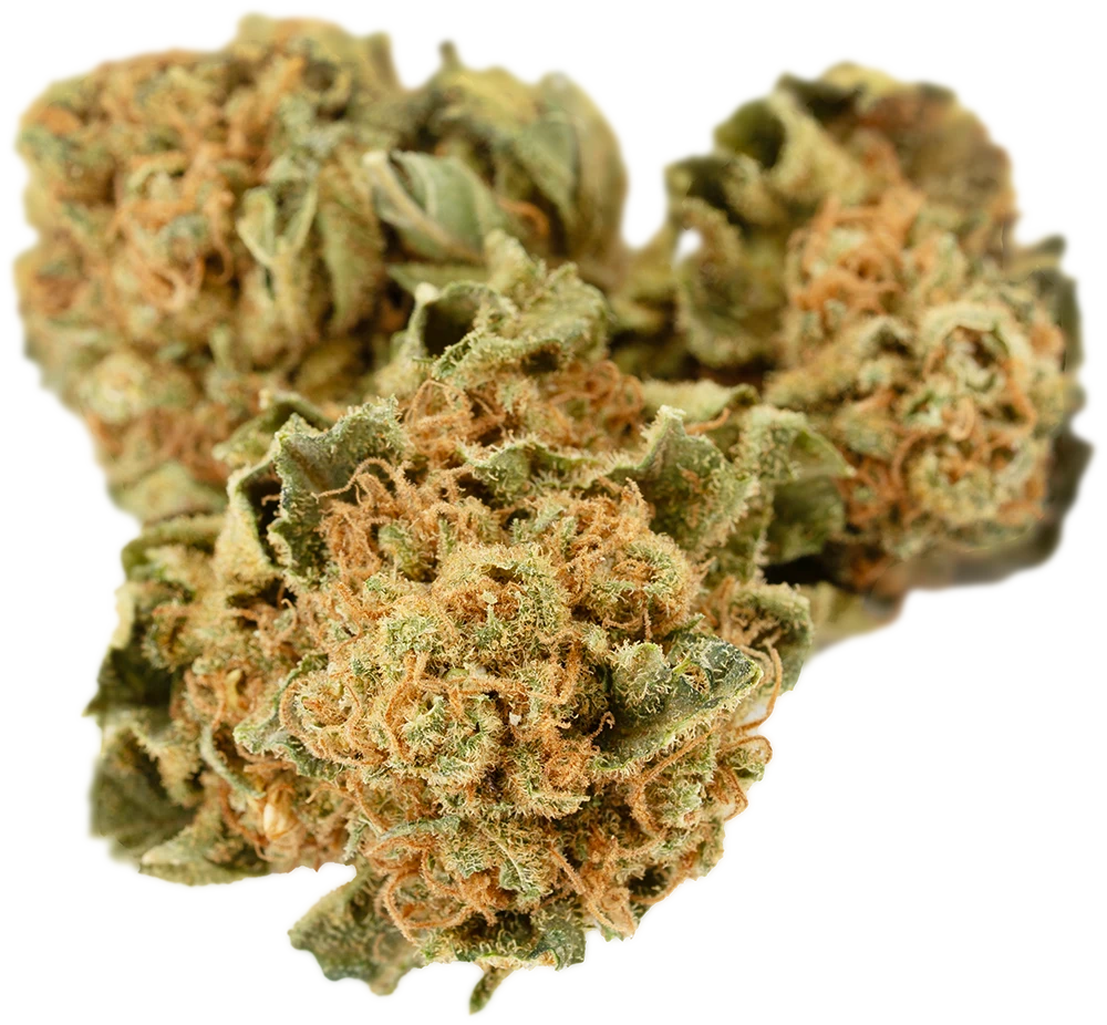 Cannamedical Sativa vita