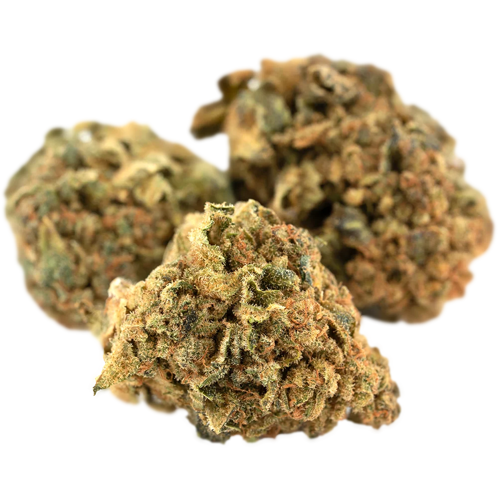 Canopy GDB 12