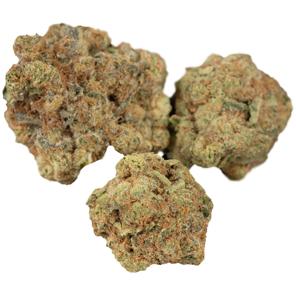 Canopy OGD 25 
