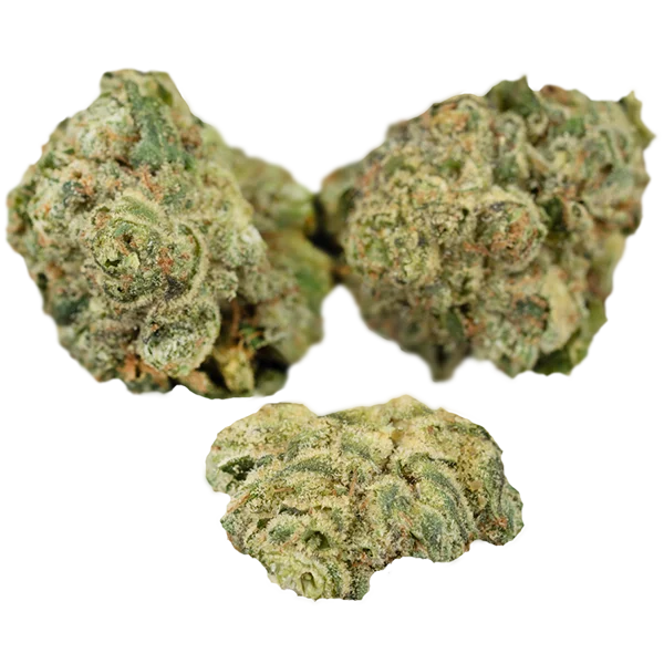 Canopy TCK 27