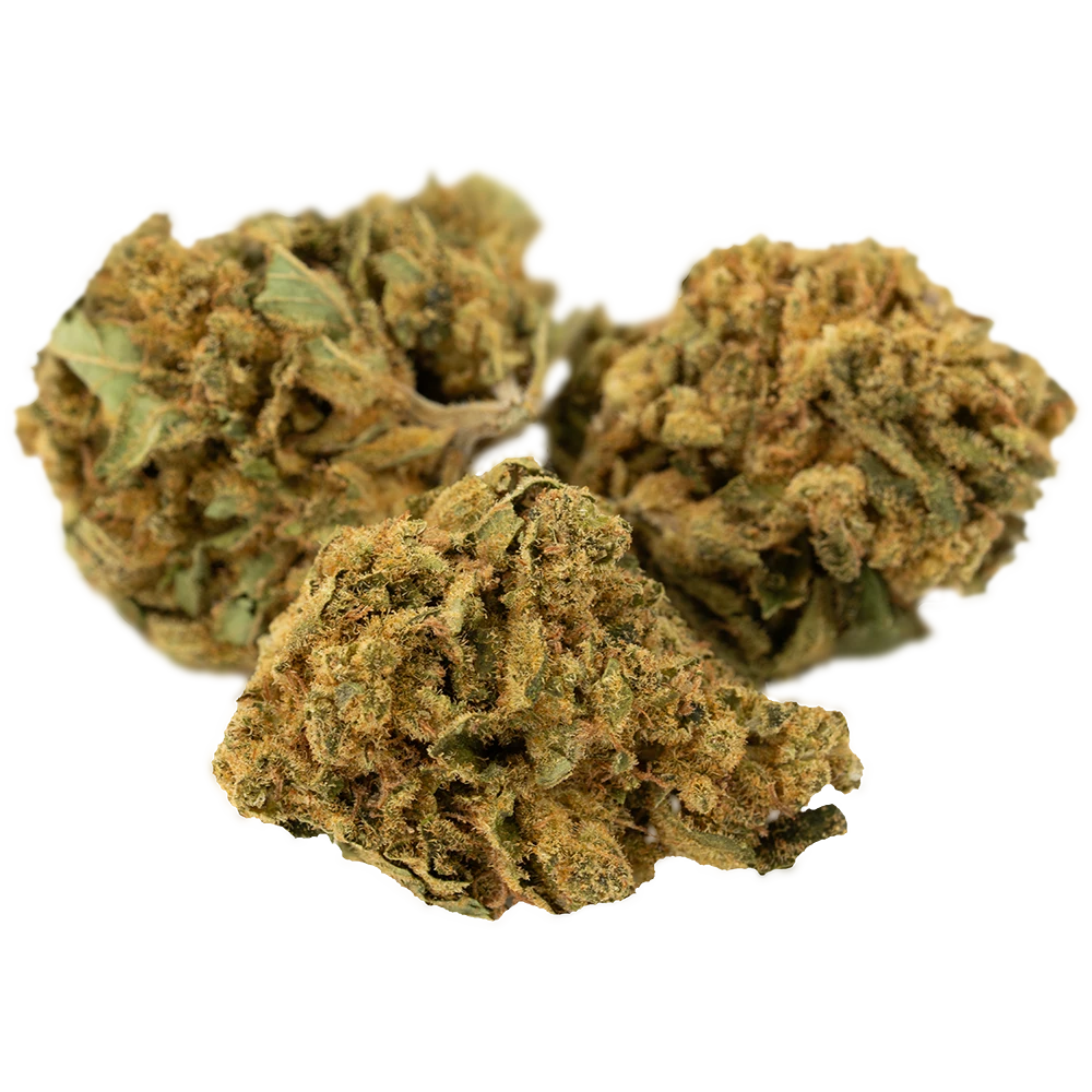 CannabiStada 18/1