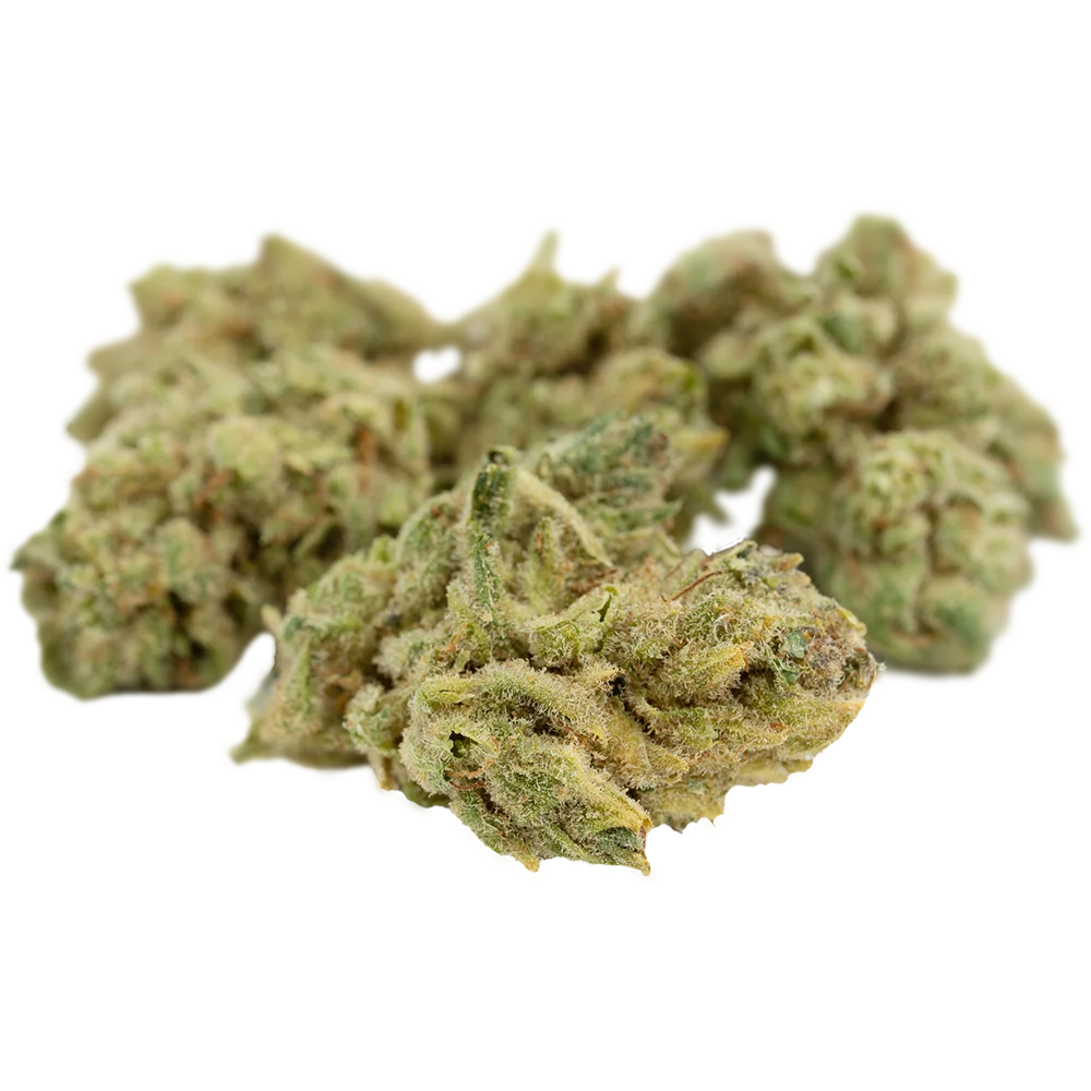 CannabiStada 19/1