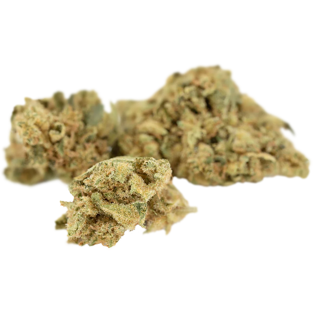 CannabiStada 20/1