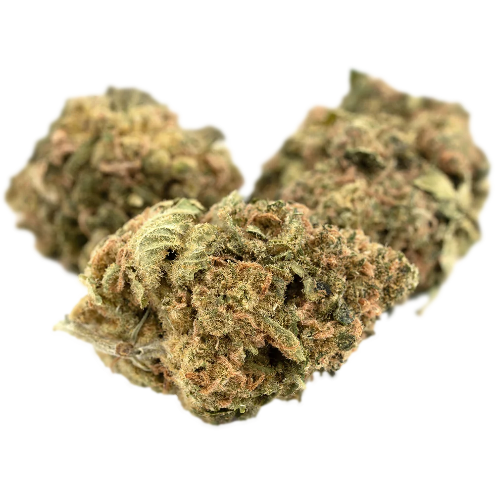 CannabiStada 14/1