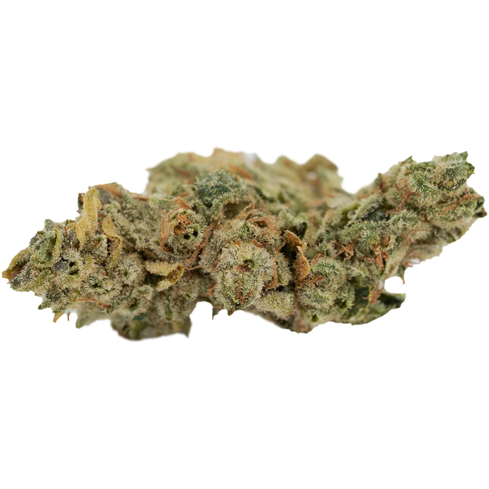 CannabiStada 22/1