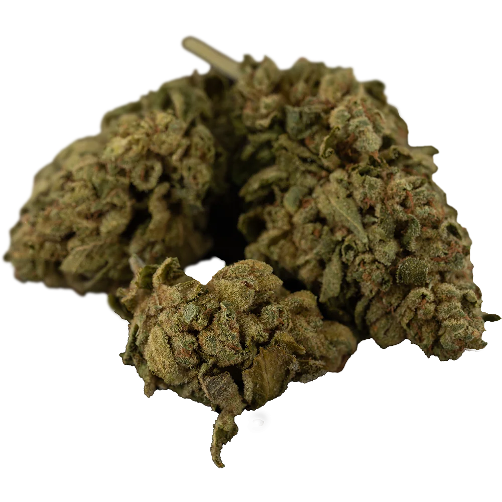 Bud Image