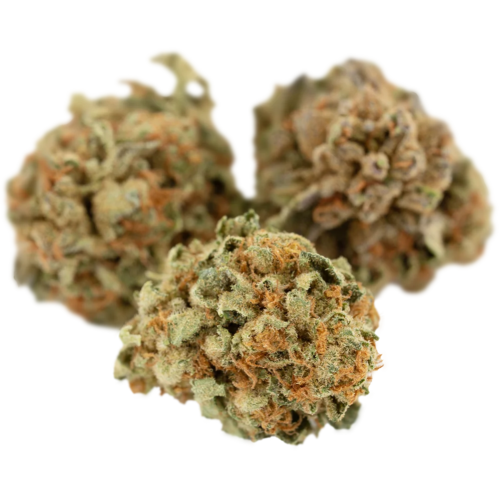 Cannamedical Balanced classic