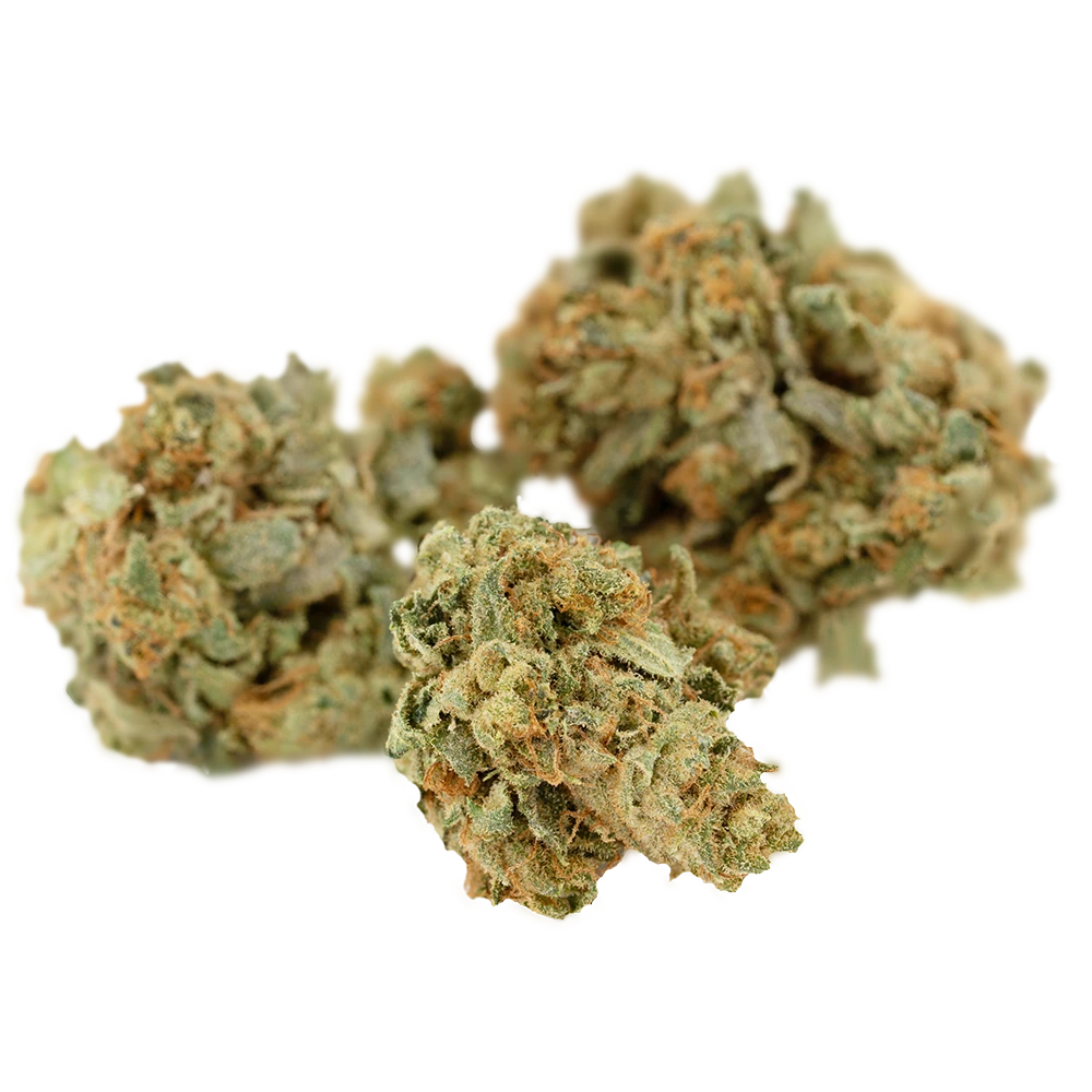 Cannamedical Balanced forte