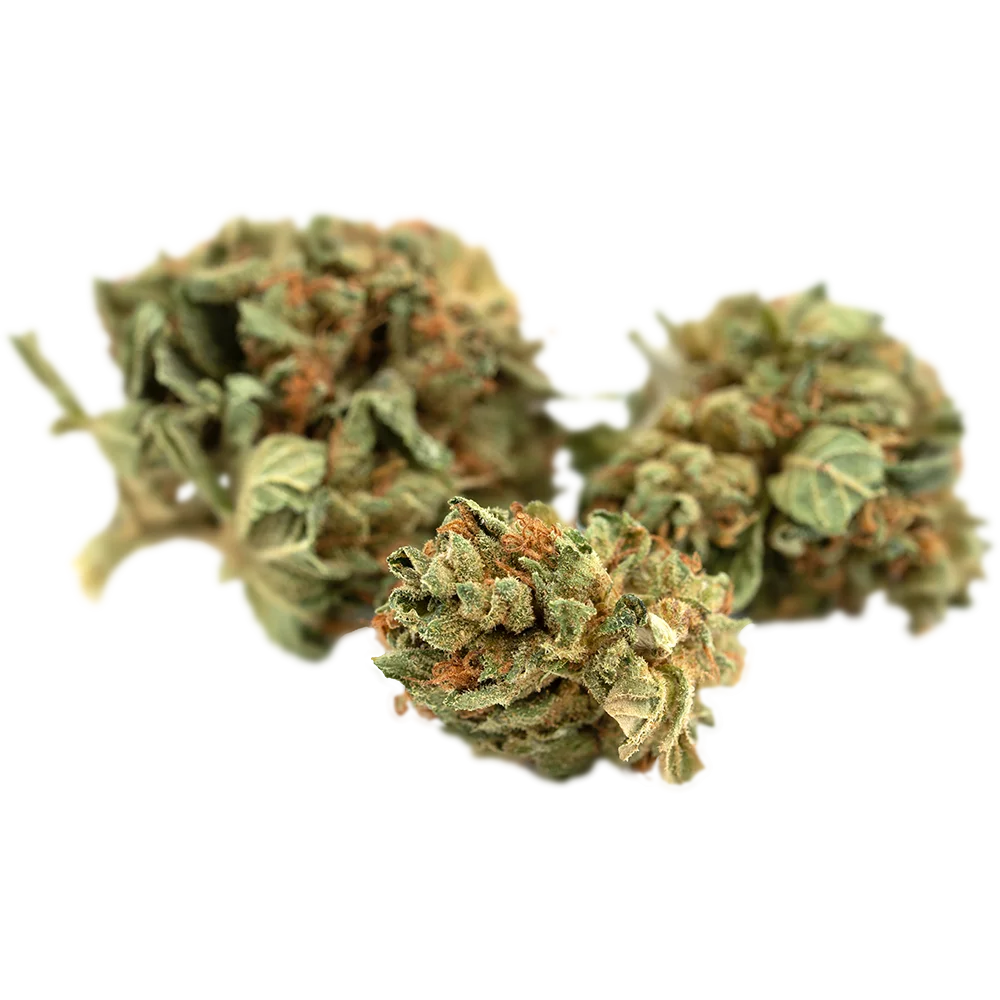 Cannamedical Hybrid classic