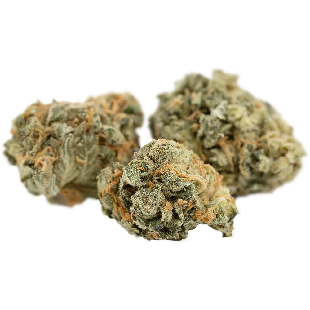 Cannamedical Hybrid classic NM