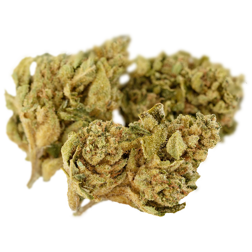 Cannamedical Hybrid forte NG