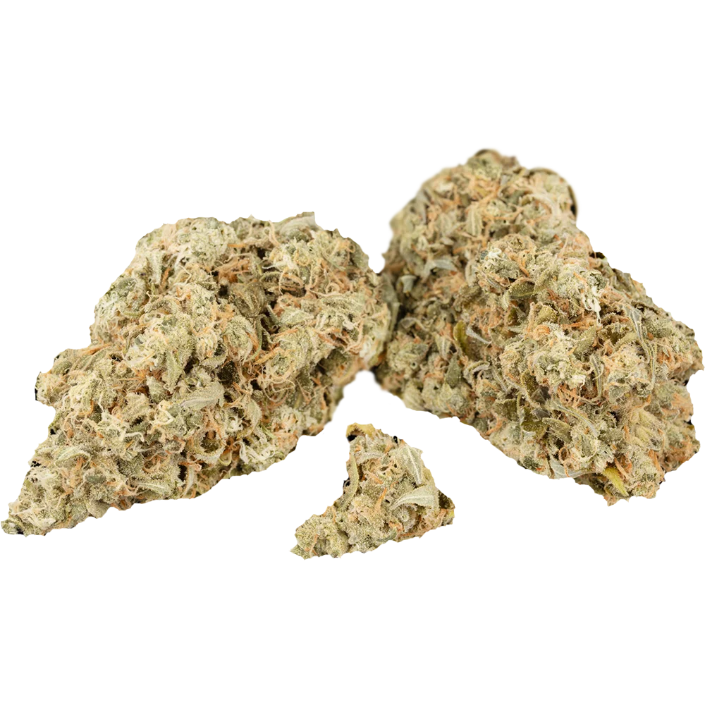 Cannamedical Hybrid forte NM