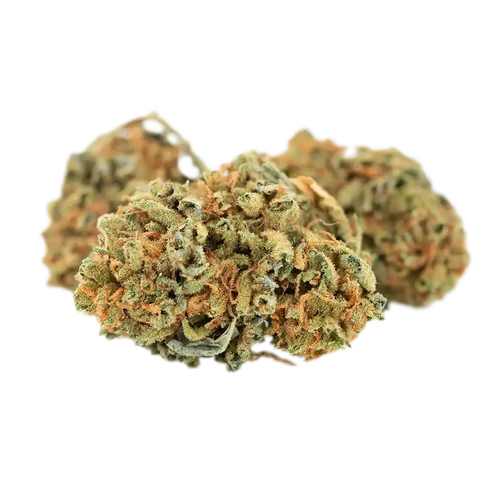 Cannamedical Hybrid classic
