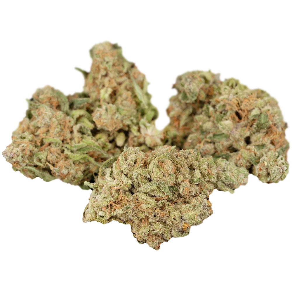 Cannamedical Hybrid forte DK 