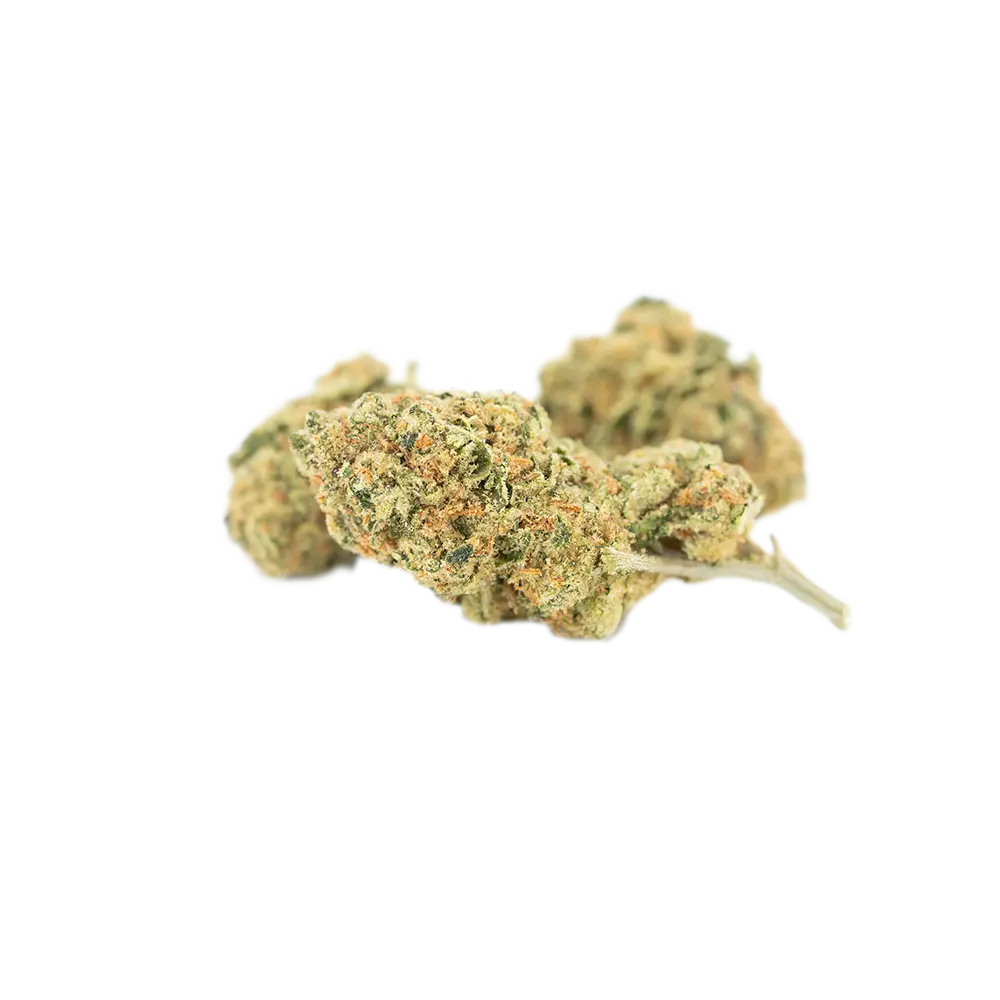 Cannamedical Hybrid forte PH