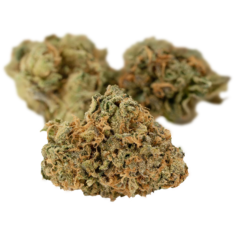 Cannamedical Indica forte MA