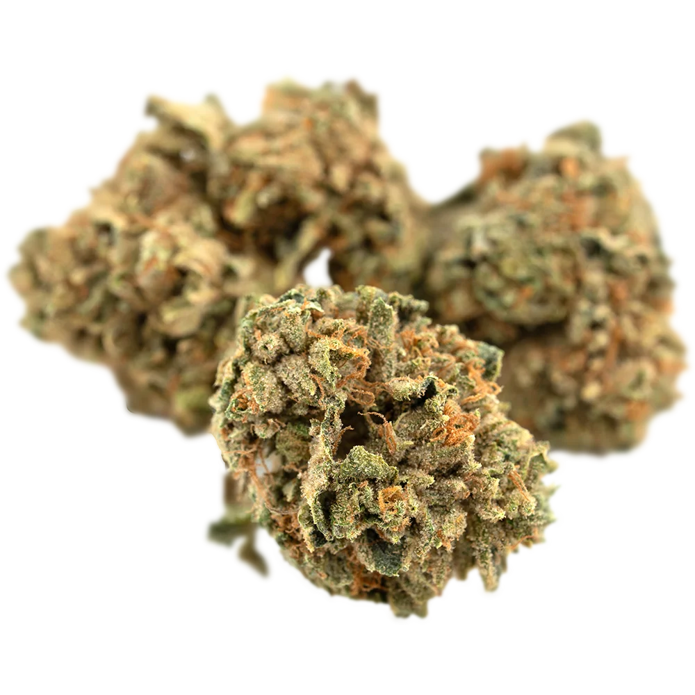 Cannamedical Indica Forte MA